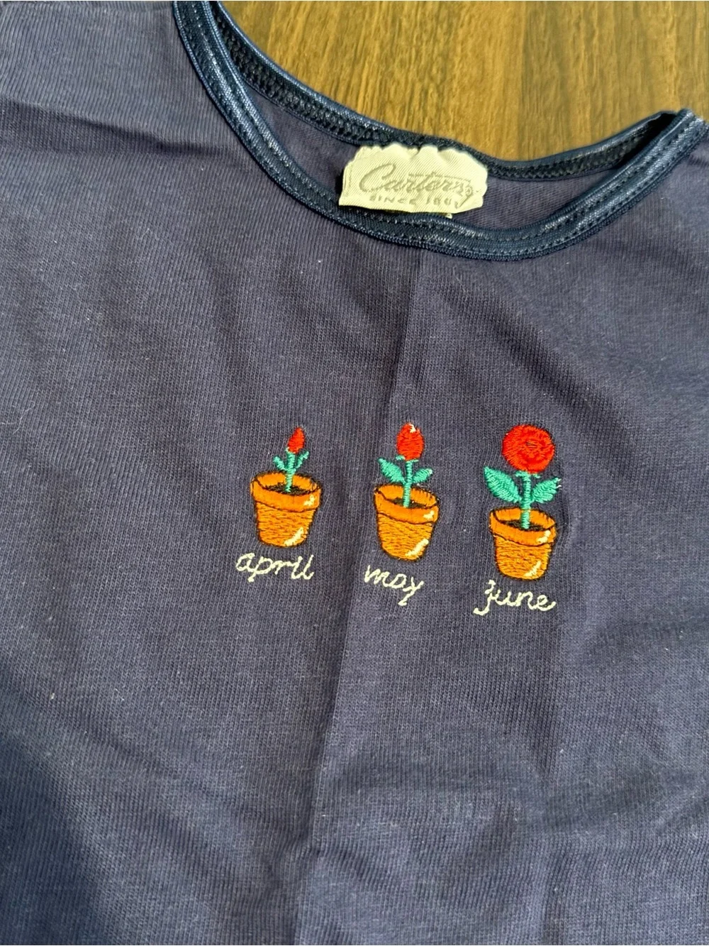 Baby girl vintage Carter’s 90’s garden shirt and shorts set